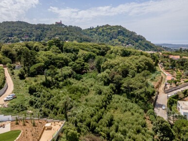 Land for Sale in Sintra, Property for sale in JL-82297