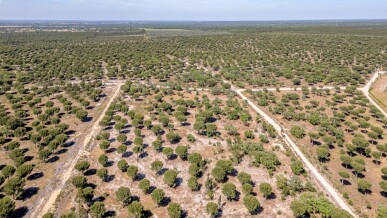 Land for Sale in Benavente, Property for sale in JL-89536