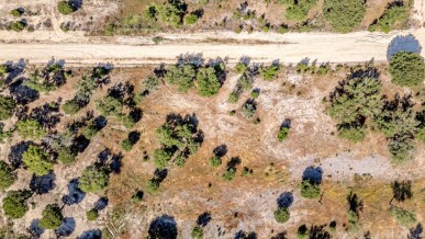 Land for Sale in Benavente, Property for sale in JL-89536