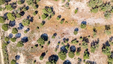 Land for Sale in Benavente, Property for sale in JL-89536