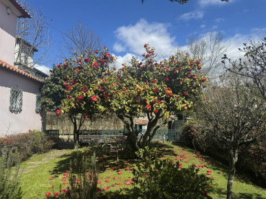 House T6 Sell in Lordelo do Ouro e Massarelos,Porto, Property for sale in Lordelo do Ouro e Massarelos, Porto, RS-R21670