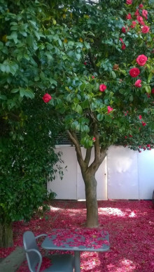 House T4 Sell in Lordelo do Ouro e Massarelos,Porto, Property for sale in Lordelo do Ouro e Massarelos, Porto, RS-R21777