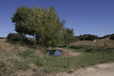 4 bedroom Property in Redondo, Property for sale in JL-79765