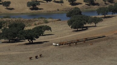 4 bedroom Property in Redondo, Property for sale in JL-79765