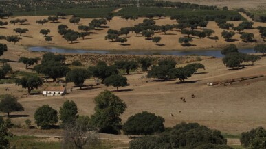 4 bedroom Property in Redondo, Property for sale in JL-79765