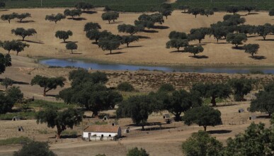 4 bedroom Property in Redondo, Property for sale in JL-79765