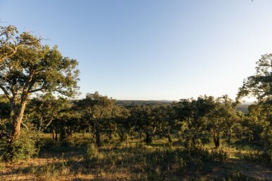 Land for Sale in Santiago do Cacém, Property for sale in JL-87331