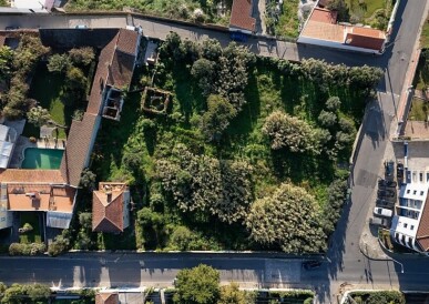 Land for Sale in Sintra, Property for sale in JL-89849