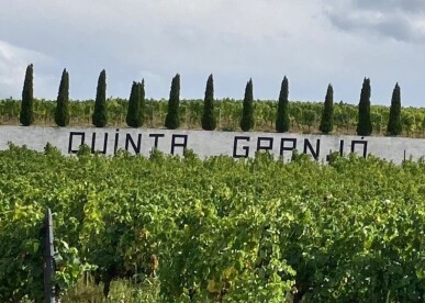 Land for Sale in Alijó, Property for sale in JL-91498