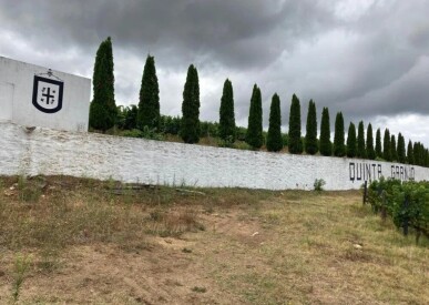 Land for Sale in Alijó, Property for sale in JL-91498