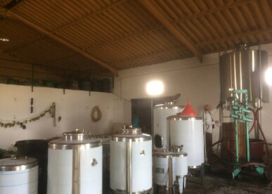 Land for Sale in Alijó, Property for sale in JL-91498