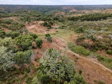 1 bedroom Property in Santiago do Cacém, Property for sale in JL-95191