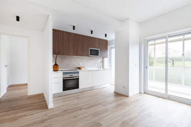 Renovated 1 Bedroom apartment in Alto de Santo Amaro, Property for sale in EVW-047NWO