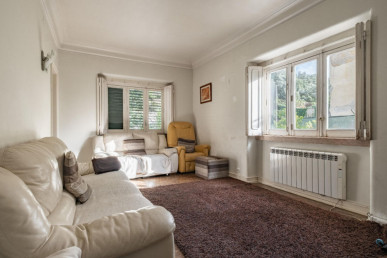 Detached House with 1,300 sqm Land in Alvalade, Property for sale in EVW-046Z13