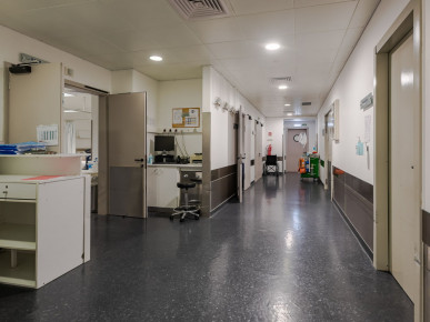 Commercial space with guaranteed income, Property for sale in Lisbon, Lisbon, EVW-02NEWJ