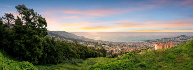 Unique Charming Farm In Funchal, Property for sale in Funchal, Madeira, PP173340