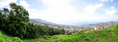 Unique Charming Farm In Funchal, Property for sale in Funchal, Madeira, PP173340