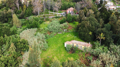 Unique Charming Farm In Funchal, Property for sale in Funchal, Madeira, PP173340