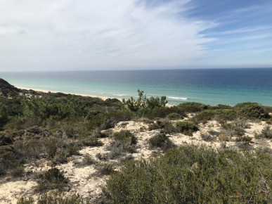 3 bedroom villa, new, with private garden and outdoor deck, in Comporta, Property for sale in Santa Maria do Castelo e Santiago e Santa Susana, Alcácer do Sal, DL37581