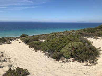 3 bedroom villa, new, with private garden and outdoor deck, in Comporta, Property for sale in Santa Maria do Castelo e Santiago e Santa Susana, Alcácer do Sal, DL37581