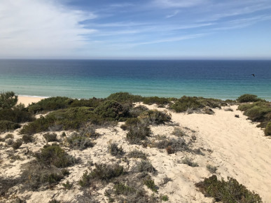 3 bedroom villa, new, with private garden and outdoor deck, in Comporta, Property for sale in Comporta, Alcácer do Sal, DL37582