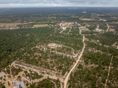 Land for Sale in Grândola, Property for sale in JL-96892