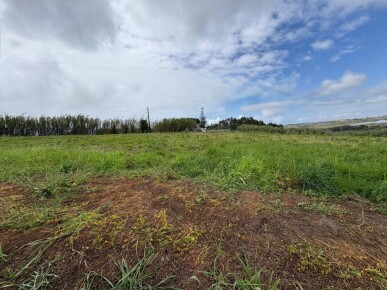 Land for Sale in Torres Vedras, Property for sale in Torres Vedras, Lisbon, JL-97548