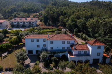 6 bedroom villa with 7300m2 of land, located 30 minutes from Porto, Property for sale in Galegos, Penafiel, DL30673