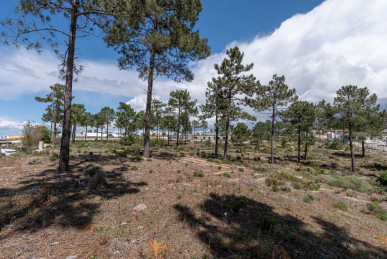 Land plot, Casas da Colina, Lagoa Formosa, Property for sale in DL31484
