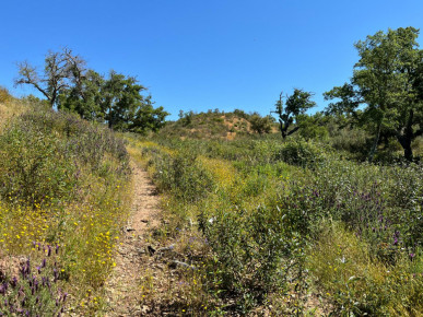 Land, Project for Rural Hotel, Santiago do Cacém, Property for sale in DL32823