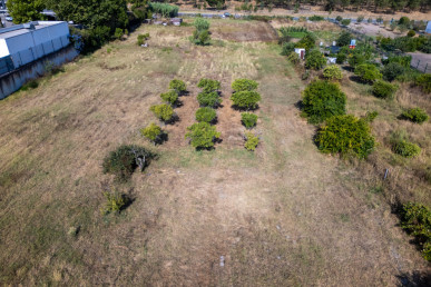 Land in Grândola, Property for sale in DL33773