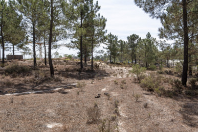 Plot of land inserted in the La Reserve development, Carvalhal, Property for sale in DL33868