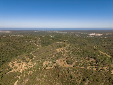Land for Sale in Grândola, Property for sale in JL-98225