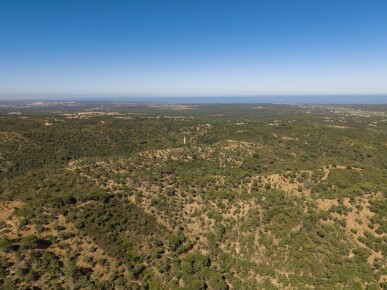 Land for Sale in Grândola, Property for sale in JL-98225