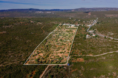 Contemporary Country Estate on Seven Hectares near Loulé, Property for sale in Loulé, Faro, PP176431