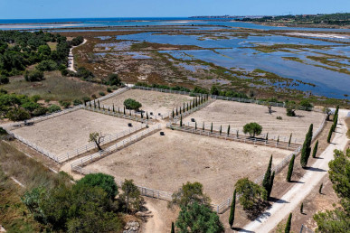 Luxury Algarve Equestrian Estate With Panoramic Sea Views, Property for sale in Mexilhoeira Grande, Portimão, PP176472