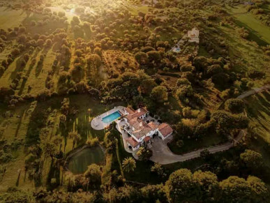 5 Hectares In The Golden Triangle: A Private Equestrian Estate, Property for sale in Almancil, Loulé, PP176503