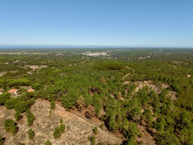 Land for Sale in Grândola, Property for sale in Melides, Grândola, JL-99621