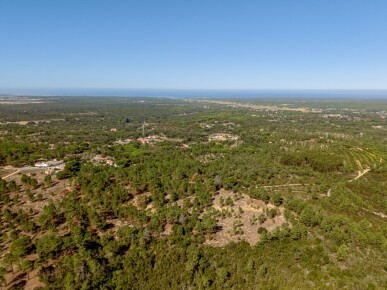 Land for Sale in Grândola, Property for sale in Melides, Grândola, JL-99621