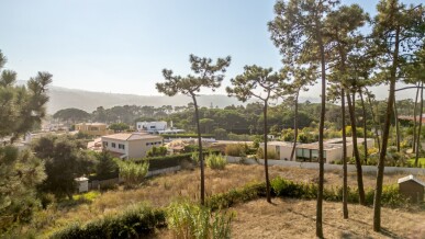 Land for Sale in Sintra, Property for sale in JL-100360